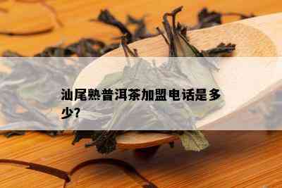 汕尾熟普洱茶加盟电话是多少？