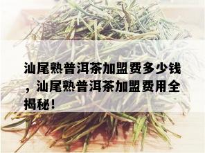 汕尾熟普洱茶加盟费多少钱，汕尾熟普洱茶加盟费用全揭秘！