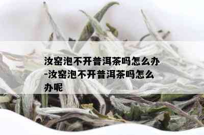 汝窑泡不开普洱茶吗怎么办-汝窑泡不开普洱茶吗怎么办呢