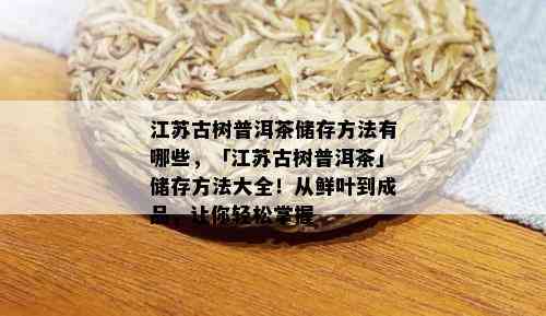 江苏古树普洱茶储存方法有哪些，「江苏古树普洱茶」储存方法大全！从鲜叶到成品，让你轻松掌握