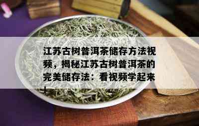 江苏古树普洱茶储存方法视频，揭秘江苏古树普洱茶的完美储存法：看视频学起来！