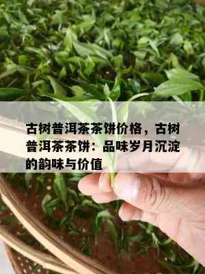 古树普洱茶茶饼价格，古树普洱茶茶饼：品味岁月沉淀的韵味与价值