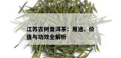 江苏古树普洱茶：用途、价值与功效全解析