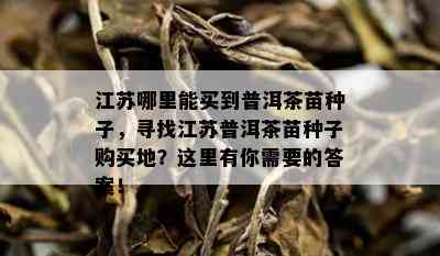 江苏哪里能买到普洱茶苗种子，寻找江苏普洱茶苗种子购买地？这里有你需要的答案！