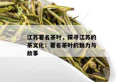 江苏著名茶叶，探寻江苏的茶文化：著名茶叶的魅力与故事