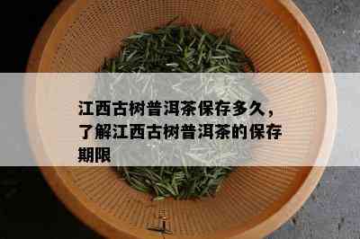 江西古树普洱茶保存多久，了解江西古树普洱茶的保存期限