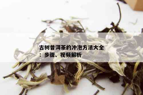 古树普洱茶的冲泡方法大全：步骤、视频解析