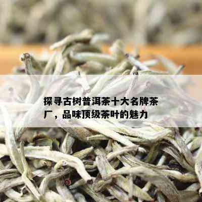 探寻古树普洱茶十大名牌茶厂，品味顶级茶叶的魅力