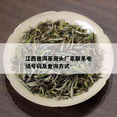 江西普洱茶源头厂家联系电话号码及查询方式