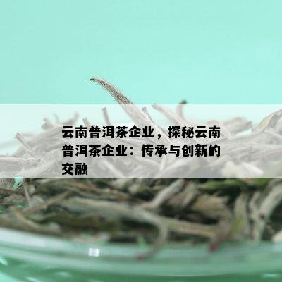 云南普洱茶企业，探秘云南普洱茶企业：传承与创新的交融