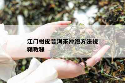 江门柑皮普洱茶冲泡方法视频教程