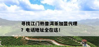 寻找江门熟普洱茶加盟代理？电话地址全在这！