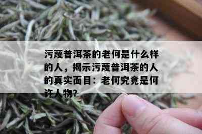 污蔑普洱茶的老何是什么样的人，揭示污蔑普洱茶的人的真实面目：老何究竟是何许人物？