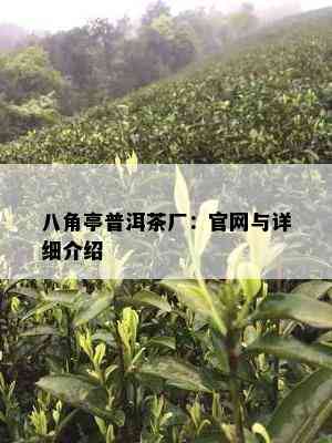 八角亭普洱茶厂：官网与详细介绍