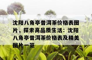 沈阳八角亭普洱茶价格表图片，探索高品质生活：沈阳八角亭普洱茶价格表及精美图片一览