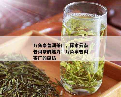 八角亭普洱茶厂，探索云南普洱茶的魅力：八角亭普洱茶厂的探访