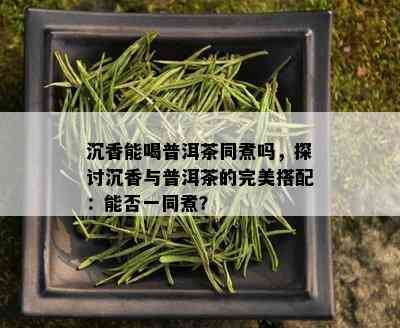 沉香能喝普洱茶同煮吗，探讨沉香与普洱茶的完美搭配：能否一同煮？