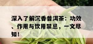 深入了解沉香普洱茶：功效、作用与饮用禁忌，一文尽知！