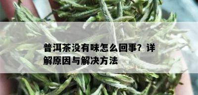 普洱茶没有味怎么回事？详解原因与解决方法