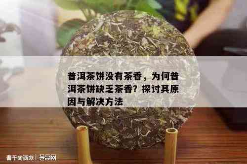 普洱茶饼没有茶香，为何普洱茶饼缺乏茶香？探讨其原因与解决方法