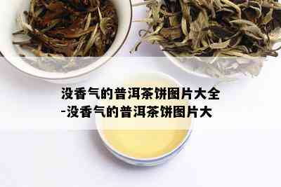 没香气的普洱茶饼图片大全-没香气的普洱茶饼图片大