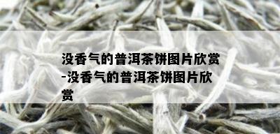 没香气的普洱茶饼图片欣赏-没香气的普洱茶饼图片欣赏