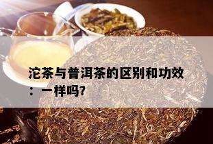 沱茶与普洱茶的区别和功效：一样吗？