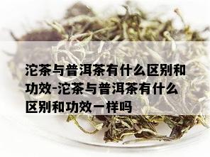 沱茶与普洱茶有什么区别和功效-沱茶与普洱茶有什么区别和功效一样吗