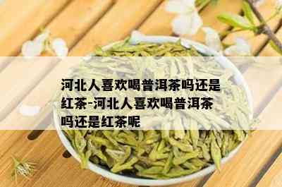 河北人喜欢喝普洱茶吗还是红茶-河北人喜欢喝普洱茶吗还是红茶呢