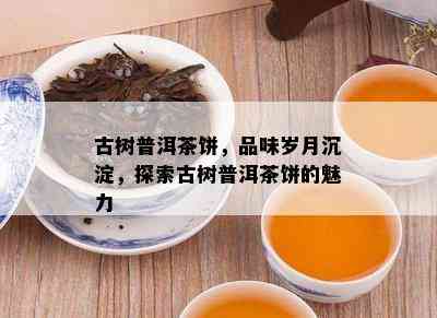 古树普洱茶饼，品味岁月沉淀，探索古树普洱茶饼的魅力