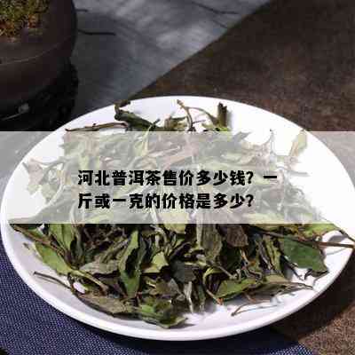 河北普洱茶售价多少钱？一斤或一克的价格是多少？