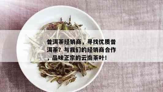 普洱茶经销商，寻找优质普洱茶？与我们的经销商合作，品味正宗的云南茶叶！