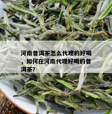 河南普洱茶怎么代理的好喝，如何在河南代理好喝的普洱茶？