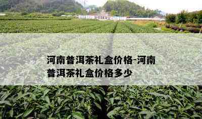 河南普洱茶礼盒价格-河南普洱茶礼盒价格多少