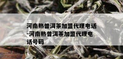 河南熟普洱茶加盟代理电话-河南熟普洱茶加盟代理电话号码