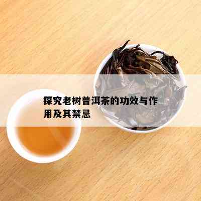 探究老树普洱茶的功效与作用及其禁忌