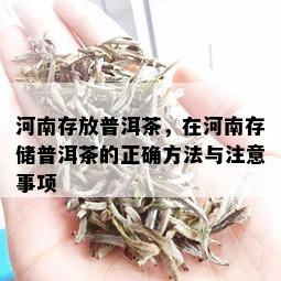 河南存放普洱茶，在河南存储普洱茶的正确方法与注意事项