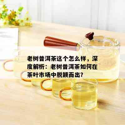 老树普洱茶这个怎么样，深度解析：老树普洱茶如何在茶叶市场中脱颖而出？