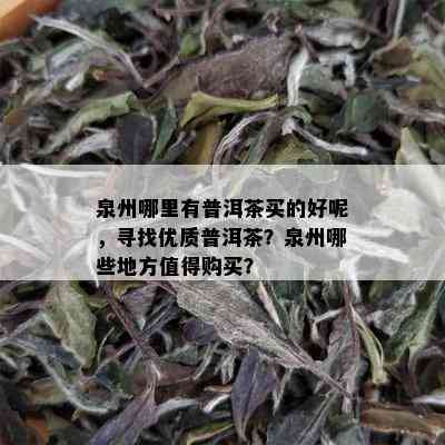 泉州哪里有普洱茶买的好呢，寻找优质普洱茶？泉州哪些地方值得购买？