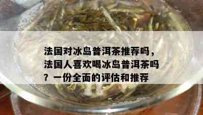 法国对冰岛普洱茶推荐吗，法国人喜欢喝冰岛普洱茶吗？一份全面的评估和推荐