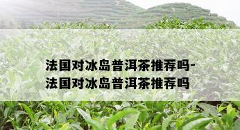 法国对冰岛普洱茶推荐吗-法国对冰岛普洱茶推荐吗