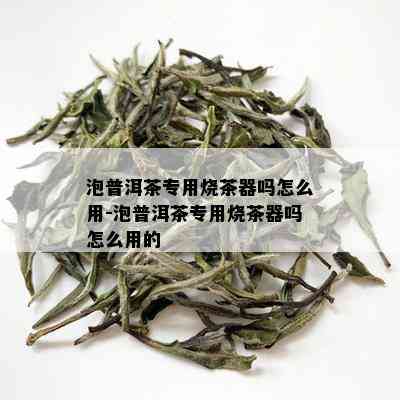 泡普洱茶专用烧茶器吗怎么用-泡普洱茶专用烧茶器吗怎么用的