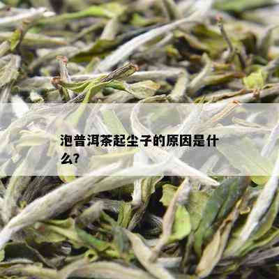 泡普洱茶起尘子的原因是什么？