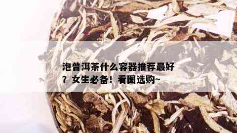 泡普洱茶什么容器推荐更好？女生必备！看图选购~