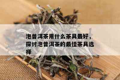 泡普洱茶用什么茶具更好，探讨泡普洱茶的更佳茶具选择