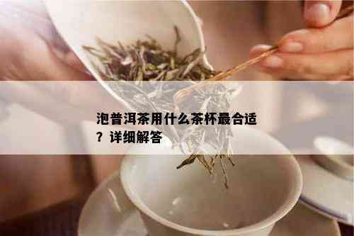 泡普洱茶用什么茶杯最合适？详细解答