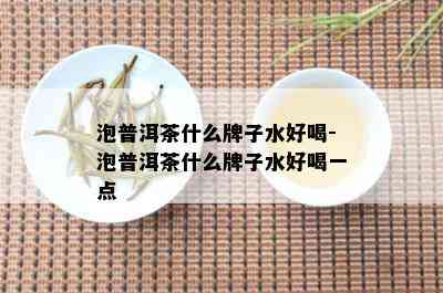 泡普洱茶什么牌子水好喝-泡普洱茶什么牌子水好喝一点