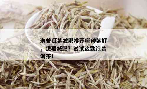 泡普洱茶减肥推荐哪种茶好，想要减肥？试试这款泡普洱茶！