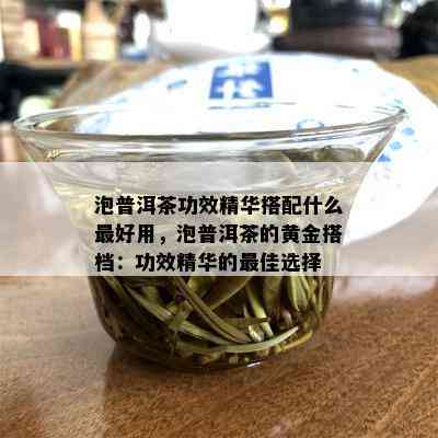 泡普洱茶功效精华搭配什么更好用，泡普洱茶的黄金搭档：功效精华的更佳选择