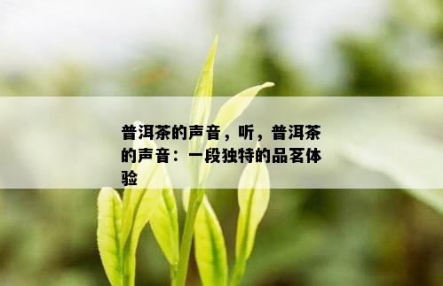 普洱茶的声音，听，普洱茶的声音：一段独特的品茗体验